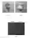 Fig. 07 - Method for producing fluorapatite and its application