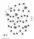 Fig. 08 - Carbon nanostructure synthesis from carbon-excess explosives in supercritical fluid