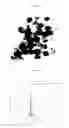Fig. 03 - DTPA DERIVATIVE, METAL COMPLEX, MR AND CT CONTRAST AGENT AND METHOD FOR MANUFACTURING SAME