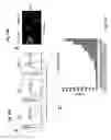 Fig. 22 - METHOD FOR TREATING CHRONIC LYMPHOCYTIC LEUKEMIA