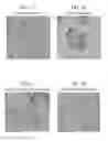 Fig. 03 - Fluorescent phospholipid ether compounds, compositions, and methods of use