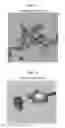 Fig. 08 - Fluorescent phospholipid ether compounds, compositions, and methods of use