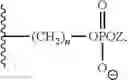 Fig. 14 - Fluorescent phospholipid ether compounds, compositions, and methods of use
