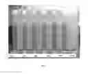 Fig. 04 - Hybrid copolymer compositions