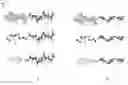 Fig. 01 - Surface anti-biomolecule agent