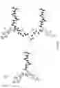 Fig. 05 - Surface anti-biomolecule agent