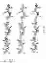 Fig. 10 - Surface anti-biomolecule agent