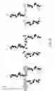 Fig. 13 - Surface anti-biomolecule agent