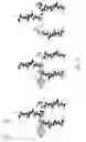 Fig. 14 - Surface anti-biomolecule agent