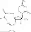 Fig. 10 - COMBINATION OF A NUCLEOSIDE POLYMERASE INHIBITOR WITH A MACROCYCLIC PROTEASE INHIBITOR AND USE THEREOF IN THE TREATMENT OF HEPATITIS C, LIVER FIBROSIS AND IMPAIRED LIVER FUNCTION (as amended)