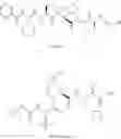 Fig. 11 - COMBINATION OF A NUCLEOSIDE POLYMERASE INHIBITOR WITH A MACROCYCLIC PROTEASE INHIBITOR AND USE THEREOF IN THE TREATMENT OF HEPATITIS C, LIVER FIBROSIS AND IMPAIRED LIVER FUNCTION (as amended)