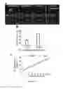 Fig. 03 - Gingiva Derived Stem Cell And Its Application In Immunodulation And Reconstruction