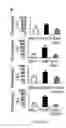 Fig. 05 - Gingiva Derived Stem Cell And Its Application In Immunodulation And Reconstruction