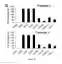 Fig. 07 - Gingiva Derived Stem Cell And Its Application In Immunodulation And Reconstruction
