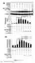 Fig. 15 - Gingiva Derived Stem Cell And Its Application In Immunodulation And Reconstruction