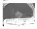 Fig. 03 - Cellular seeding and co-culture of a three dimensional fibroblast construct