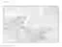 Fig. 11 - Cellular seeding and co-culture of a three dimensional fibroblast construct