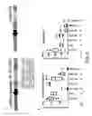 Fig. 15 - Gene vector