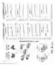 Fig. 16 - Gene vector