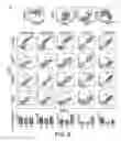 Fig. 19 - Gene vector