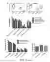 Fig. 20 - Gene vector