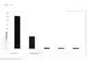 Fig. 06 - PROPHYLACTIC, AMELIORATING OR THERAPEUTIC AGENT FOR ORAL DISEASES