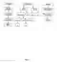 Fig. 04 - METHODS AND COMPOSITIONS FOR THE TREATMENT OF AUTOIMMUNE DISEASE