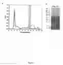 Fig. 05 - METHODS AND COMPOSITIONS FOR THE TREATMENT OF AUTOIMMUNE DISEASE