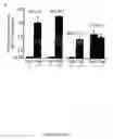Fig. 16 - METHODS AND COMPOSITIONS FOR THE TREATMENT OF AUTOIMMUNE DISEASE