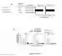 Fig. 18 - METHODS AND COMPOSITIONS FOR THE TREATMENT OF AUTOIMMUNE DISEASE