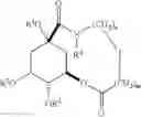 Fig. 10 - SYNTHETIC MACROCYCLIC COMPOUNDS AND METHODS FOR TREATING CANCER