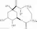 Fig. 32 - SYNTHETIC MACROCYCLIC COMPOUNDS AND METHODS FOR TREATING CANCER