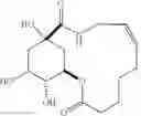 Fig. 43 - SYNTHETIC MACROCYCLIC COMPOUNDS AND METHODS FOR TREATING CANCER