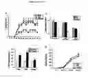 Fig. 03 - RAGE G82S-RELATED METHODS AND COMPOSITIONS FOR TREATING INFLAMMATORY DISORDERS