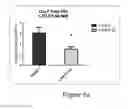 Fig. 08 - METHODS OF INCREASING NEURONAL DIFFERENTIATION USING ANTIBODIES TO LYSOPHOSPHATIDIC ACID
