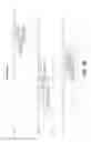 Fig. 03 - Anti-FGF19 antibodies and methods using same