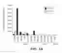 Fig. 07 - Anti-FGF19 antibodies and methods using same