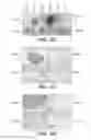 Fig. 08 - Anti-FGF19 antibodies and methods using same