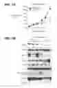 Fig. 17 - Anti-FGF19 antibodies and methods using same