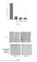 Fig. 03 - Cadherin-11 inhibitors and methods of use thereof