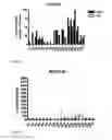 Fig. 02 - Diagnostic mycobacterium tuberculosis test