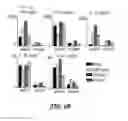 Fig. 08 - Enhancement of Pathogen-Specific Memory Th17 Cell Responses