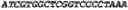 Fig. 04 - Mycobacterium mutants for vaccines with improved protective efficacy