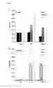 Fig. 10 - Mycobacterium mutants for vaccines with improved protective efficacy