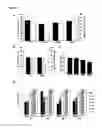 Fig. 11 - Mycobacterium mutants for vaccines with improved protective efficacy