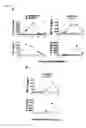 Fig. 08 - Detection/measurement of malaria infection disease utilizing natural immunity by hemozoin induction, screening of preventative or therapeutic medicine for malaria infection disease, and regulation of natural immunity induction