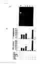 Fig. 09 - Detection/measurement of malaria infection disease utilizing natural immunity by hemozoin induction, screening of preventative or therapeutic medicine for malaria infection disease, and regulation of natural immunity induction