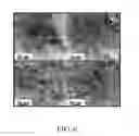 Fig. 06 - BIOCOMPATIBLE CARRIER AND METHOD FOR FABRICATING THE SAME