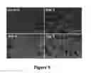 Fig. 06 - COMBINATIONS AND MODES OF ADMINISTRATION OF THERAPEUTIC AGENTS AND COMBINATION THERAPY