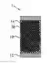 Fig. 01 - Oral delivery product